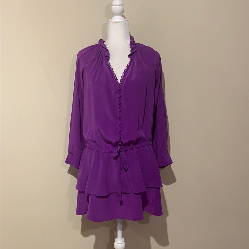 Rebecca Taylor 100% Silk Long Sleeve Ruffle Dress